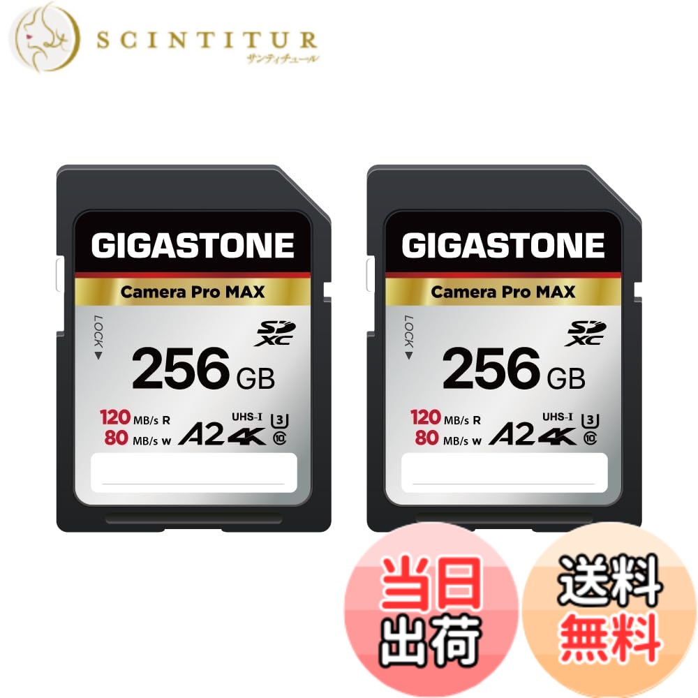 【貨物輸送無料】Camera Pro Series 3 色：256GB Camera Pro MAX 2枚仕掛ける、大きさ：SD 256GB V60 2PK