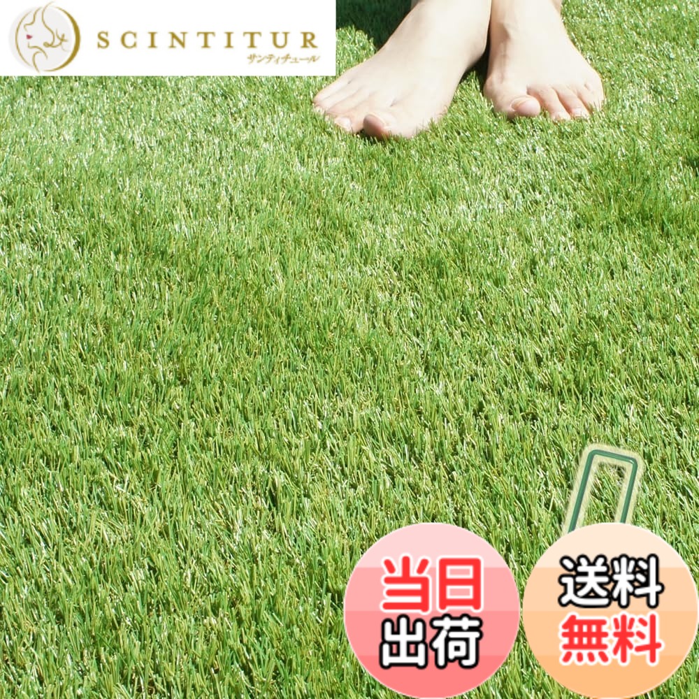 【送料無料】人工芝 ロール 固定専用 ピン （ GAターフピン ）付 ターフグランデ 分厚い4層バッキング 広げてもシワができない極ふわ人工芝 色：秋冬グリーン（プレミアム35mm）、サイズ：1mx10m　ピン付｜サンティチュール 34,372円