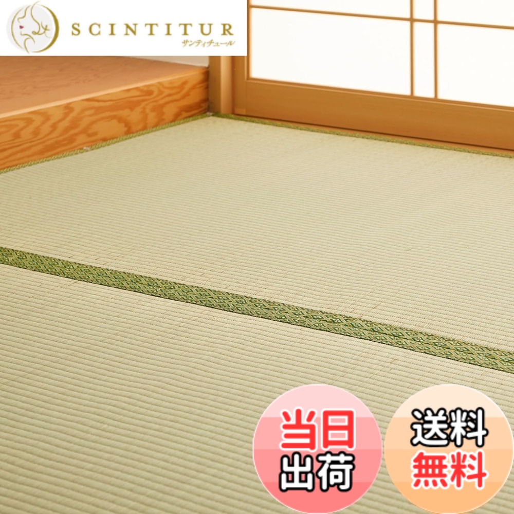 【貨物輸送無料】萩原 無償性撥ねのける上敷き 裏貼あり 「HG」 取りつくろう磁気テープなし、取りつくろう磁気テープ 色：自然的、大きさ：255 x 340 珊 (矩形)