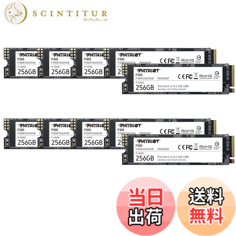 【貨物輸送無料】Patriot P300 Internal SSD - NVMe PCIe Gen 3x4 - M.2 2280-10 Pack Parent 色：黒いこと、大いさ：256GB 10 Pack