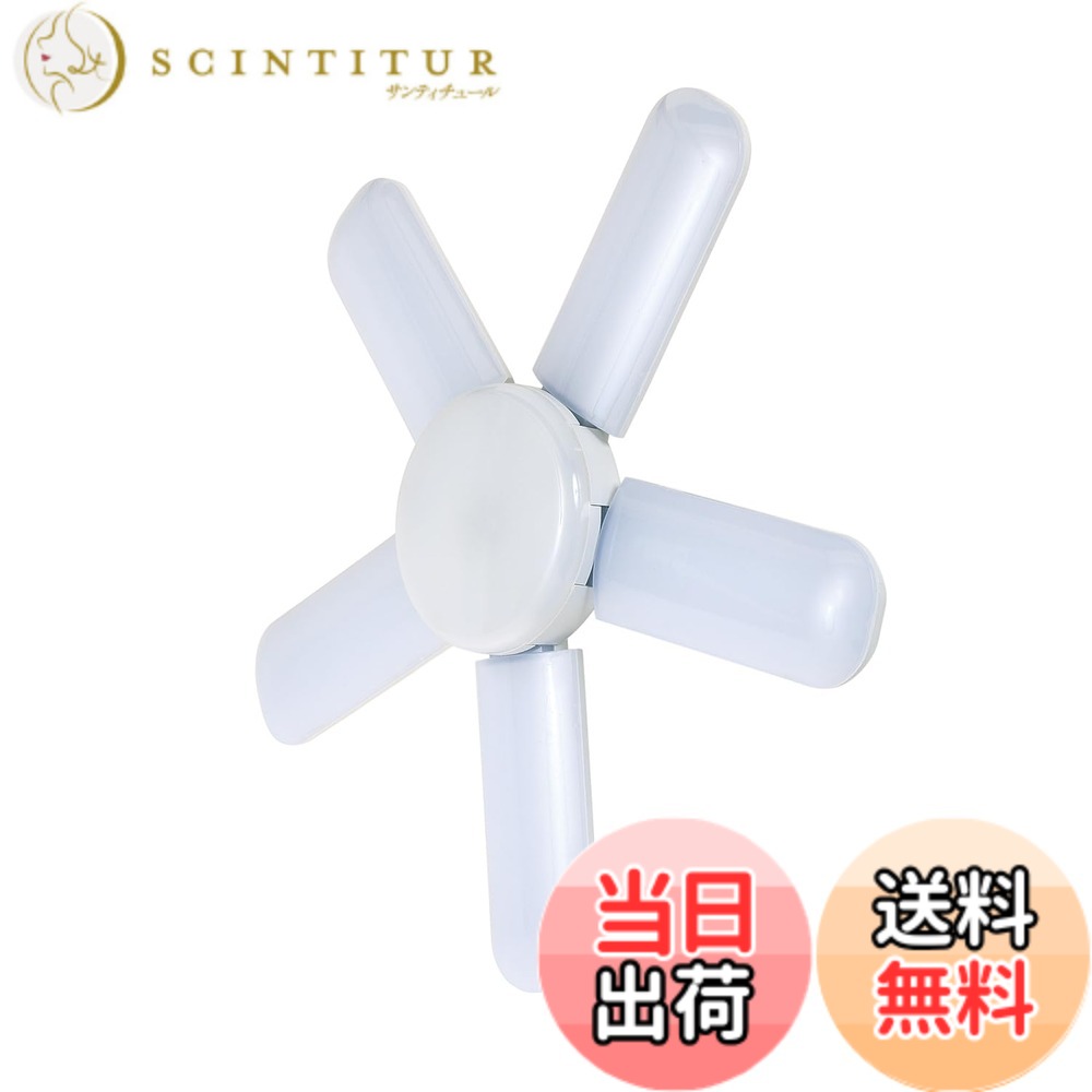 【貨物輸送無料】SK11 LED岩礁点火装置2 屋内用 昼光色 色：白いこと、大きさ：本体