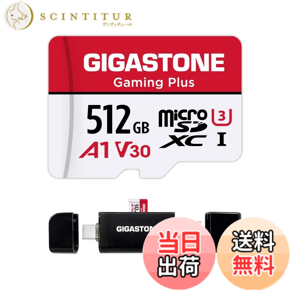 【貨物輸送無料】GIGASTONE マイクロsd歌留多 512-2-1 Core Group-Redwhite 色：512GB Gaming Plus 1枚+Type C歌留多愛読者、大きさ：512GB