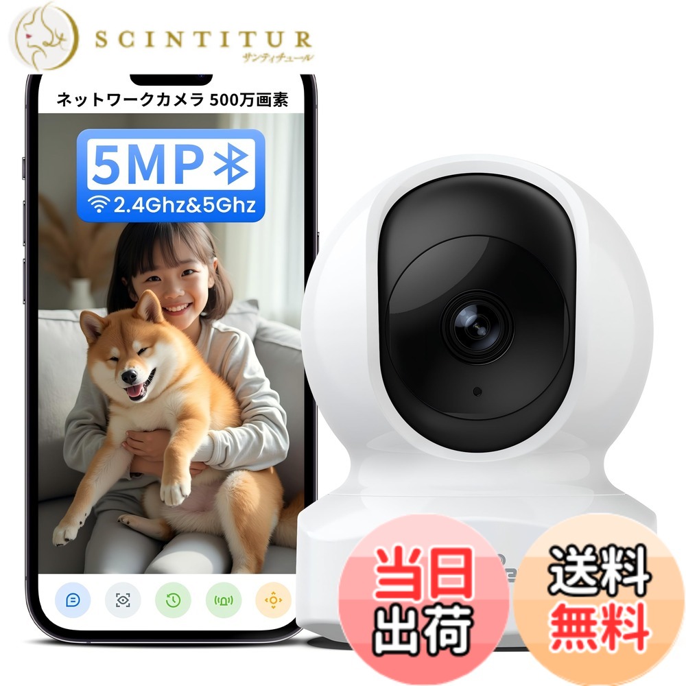 【貨物輸送無料】Wansview 色：5MP白・常時録画、大いさ：A.見守り写真機