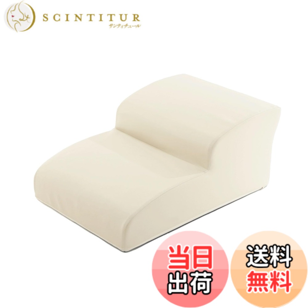 【貨物輸送無料】独居室タン(Cellutane) ドッグステップ 色：象牙色、大いさ：広広とした2段