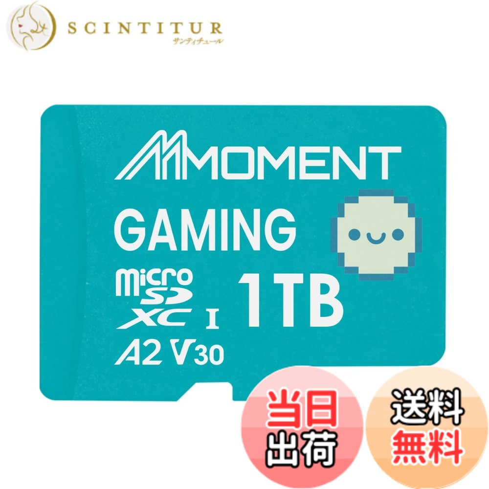 【送料無料】MMOMENT A1V30 / A2V30 / Lite/PRO/EXPRESS MicroSDXCカード サイズ:1TB|サンティチュール
