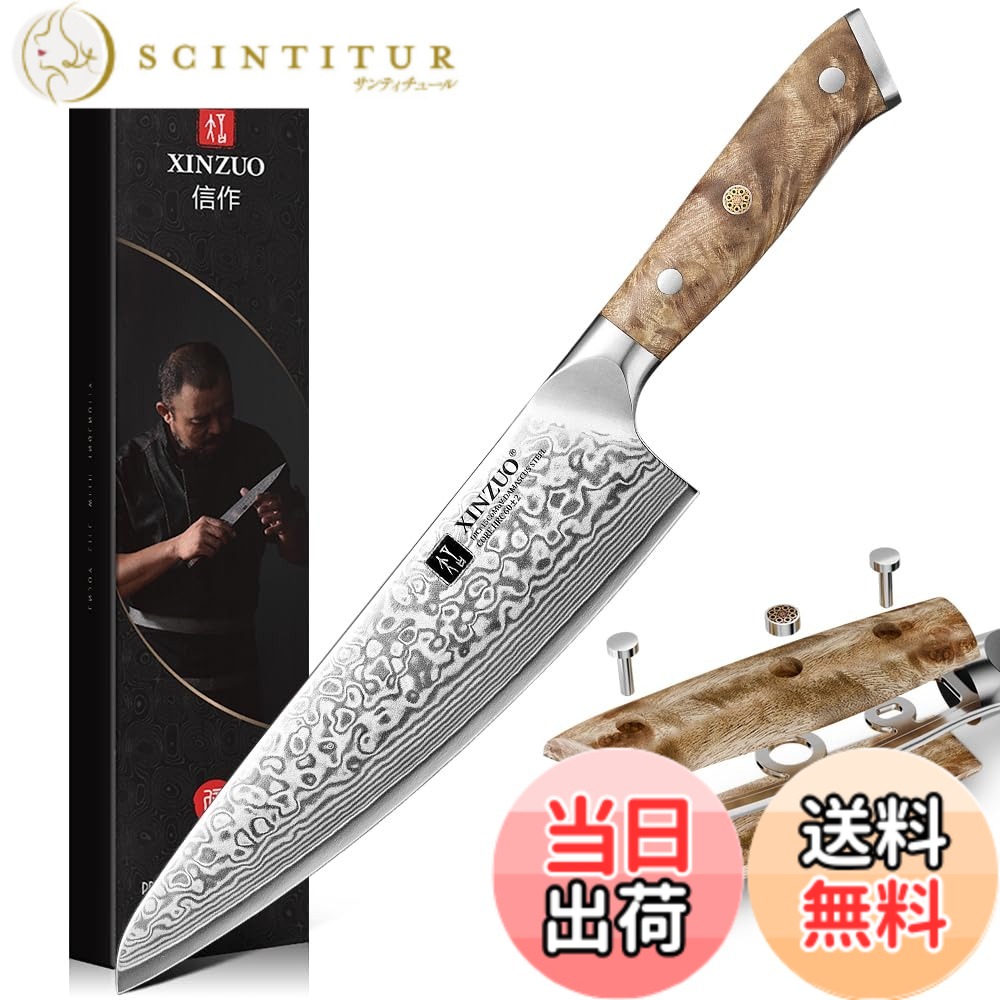 【送料無料】XINZUO 67層ダマスカス鋼 -プロの手鍛造シェフナイフ包丁キッチンナイフ鋼芯10Cr15CoMoV 色：シェフナイフ、サイズ：210 mm｜サンティチュール