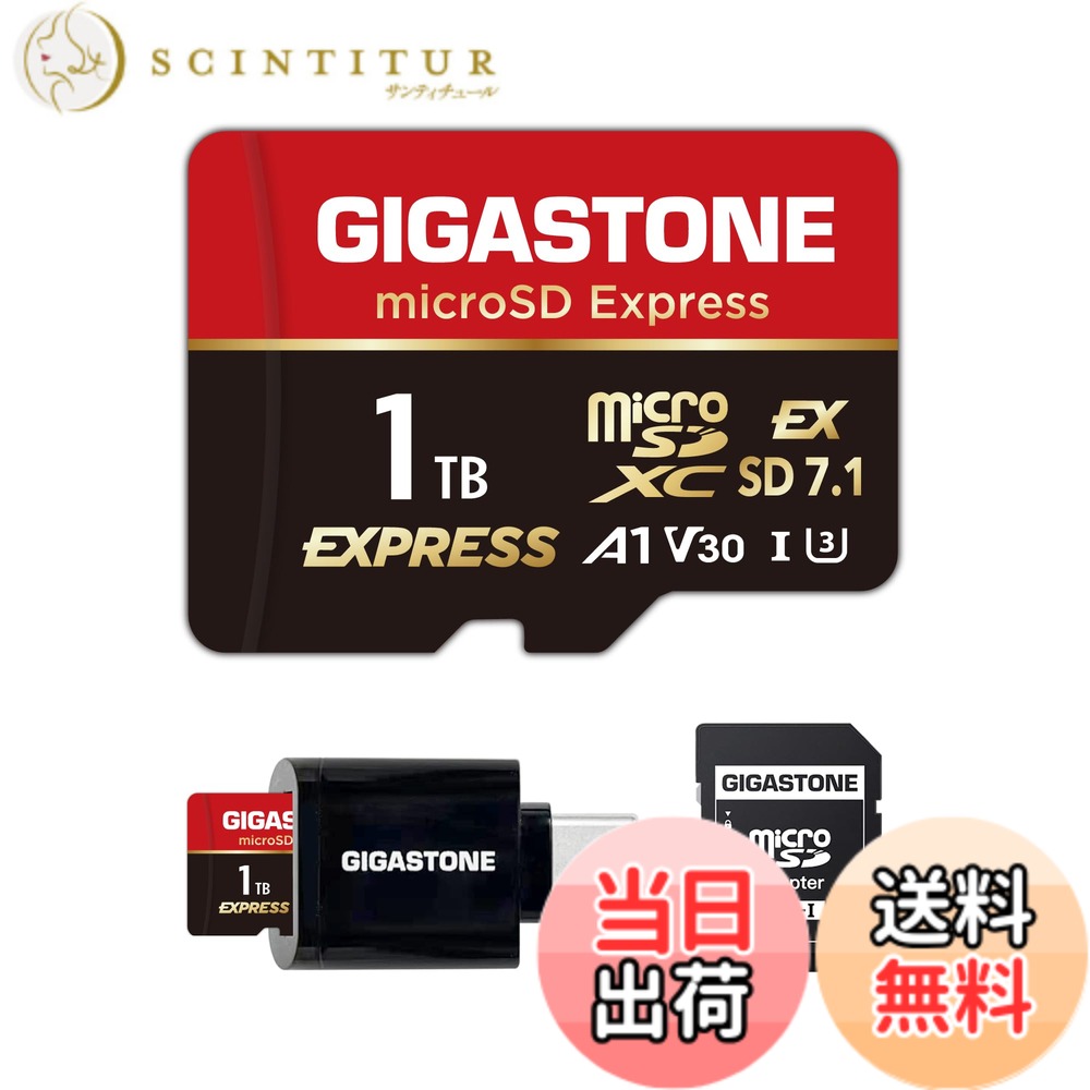 【送料無料】GIGASTONE マイクロsdカード 64-3-5 Core Group 色：microSD Express 1TB + CR。、サイズ：1TB microSD Express 1枚セット + Type-Cカードリーダー｜サンティチュール