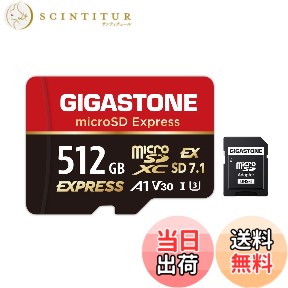 【送料無料】GIGASTONE マイクロsdカード 512-14-1 Core Group サイズ:512GB microSD Express 1枚セット|サンティチュール