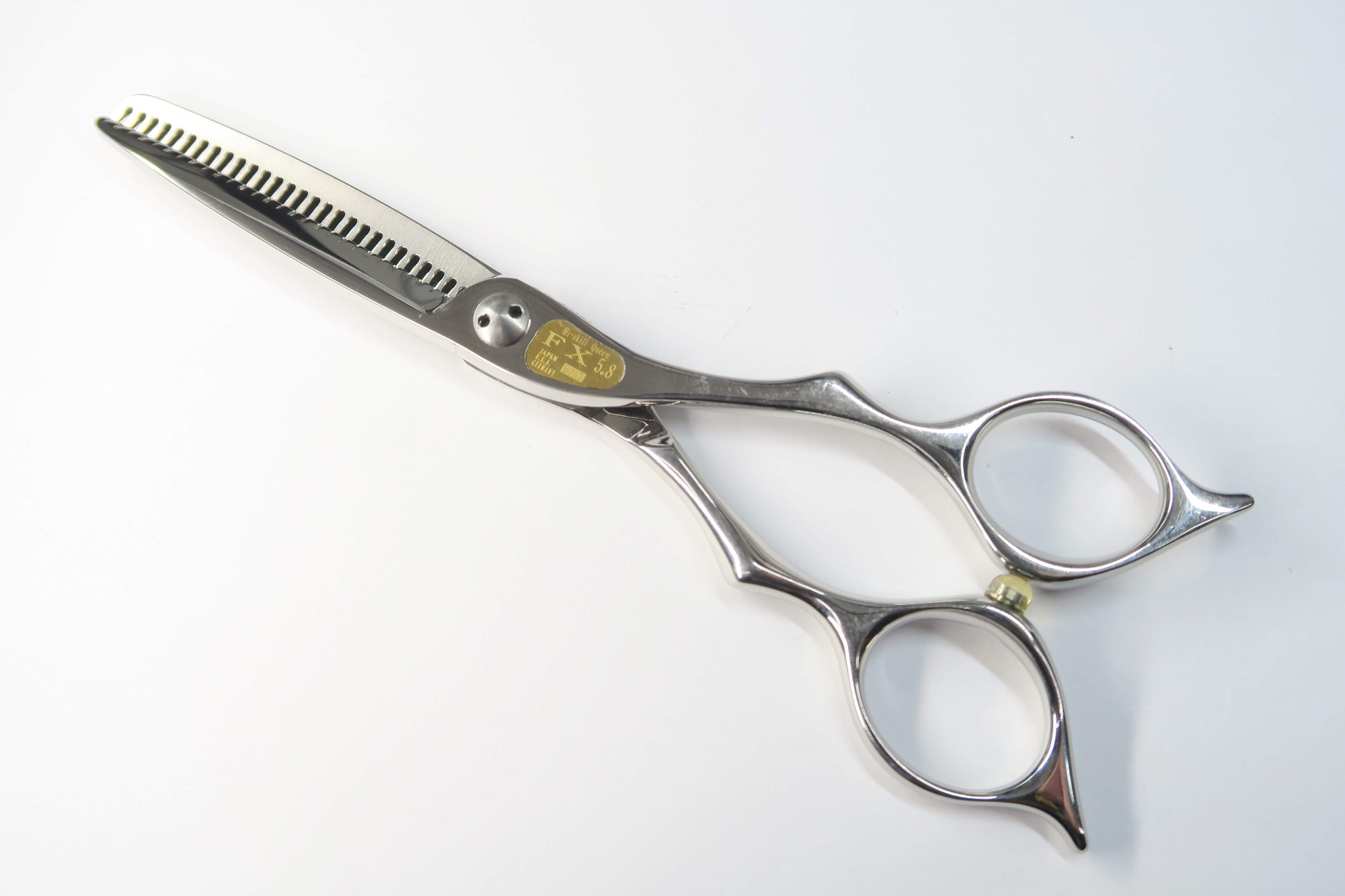 楽天市場】Bランク【トギノン TOGINON】 DYNA SAURUS ダイナザウルス