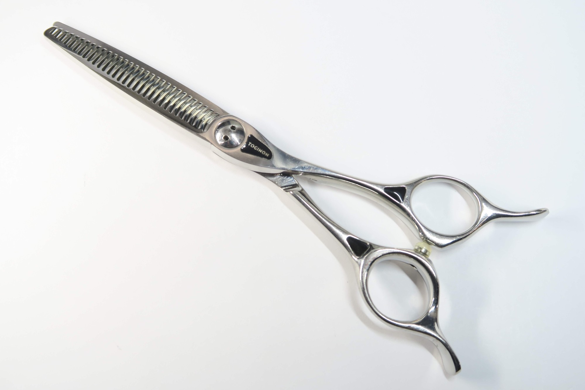 楽天市場】Bランク【トギノン TOGINON】 DYNA SAURUS ダイナザウルス