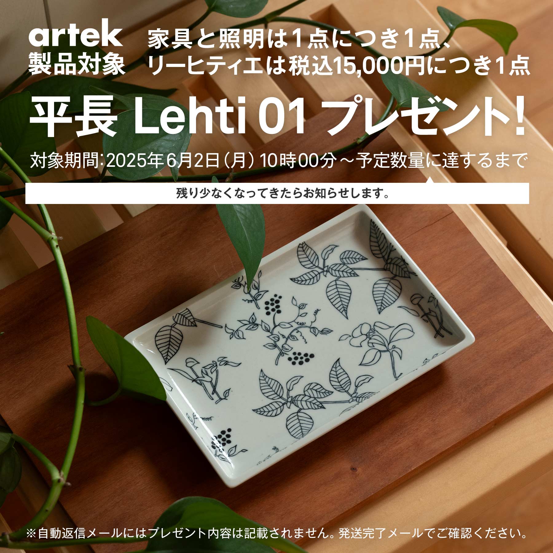 1点購入につきアルテックノベルティプレゼント！】【スコープ