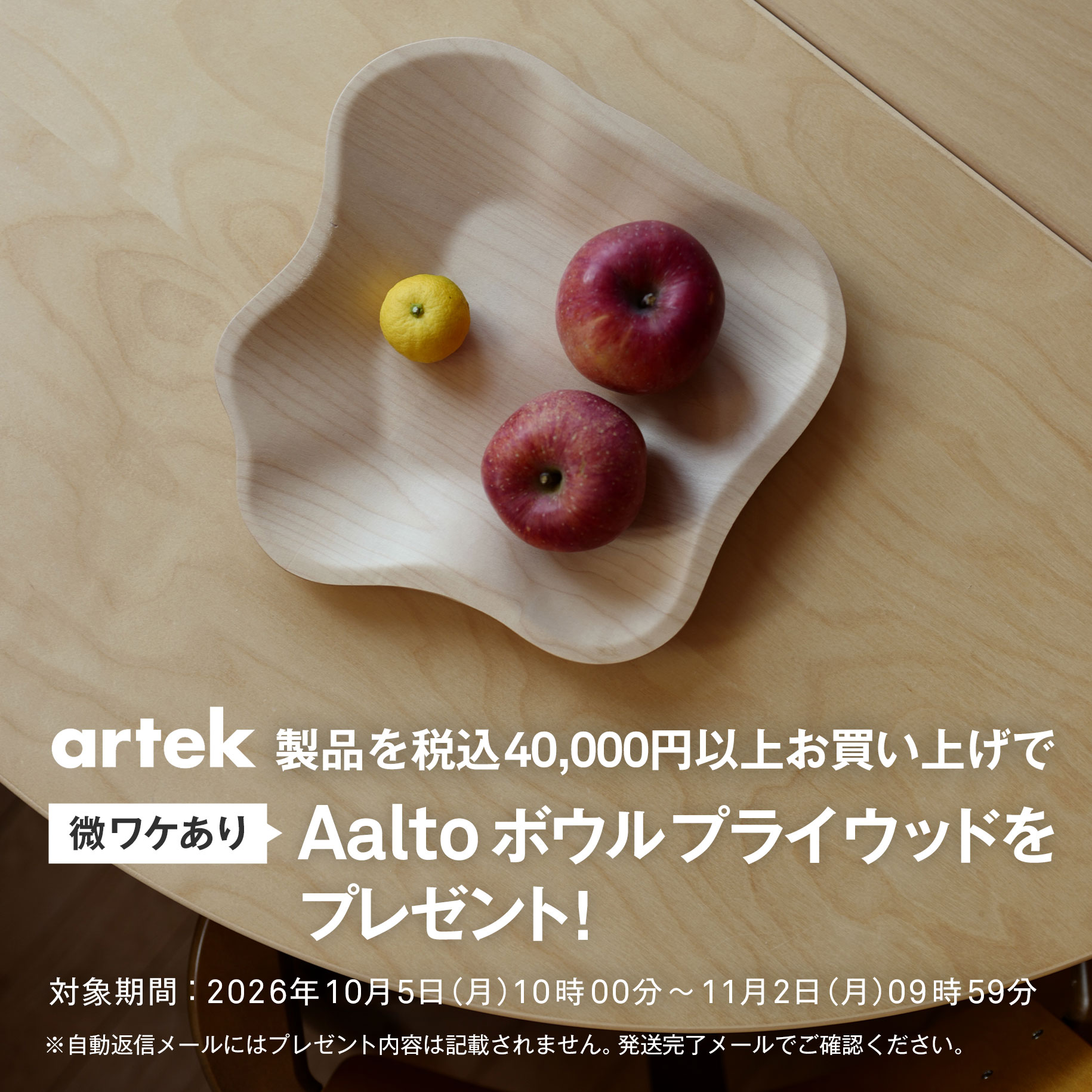 4万円以上購入でプレゼント対象】【スコープ特注】アルテック