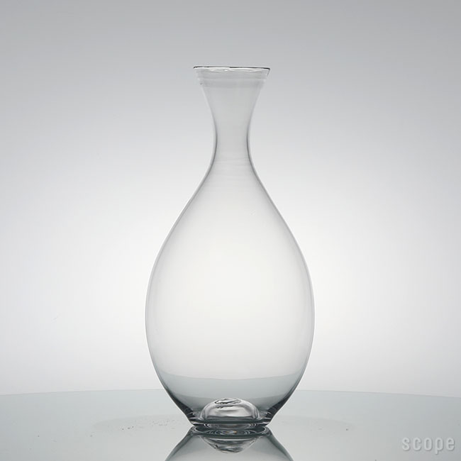 パラティッシレビューキャンペーン