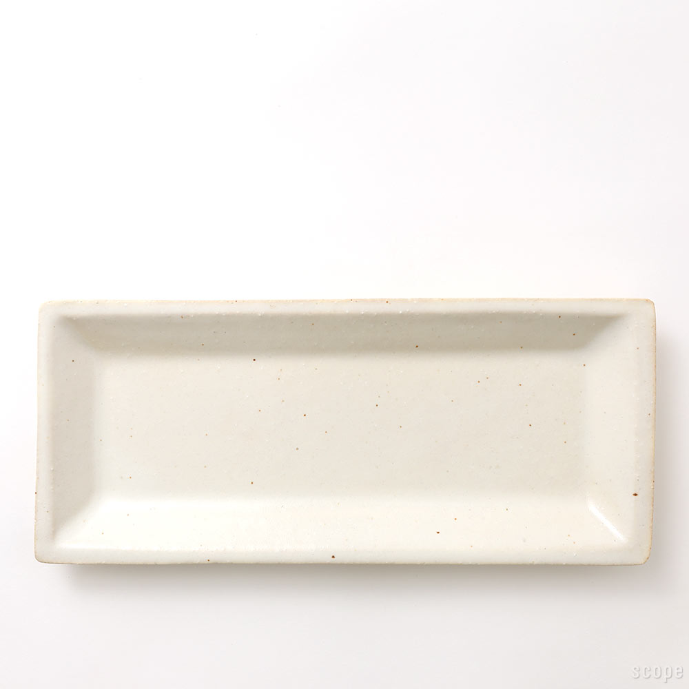 パラティッシレビューキャンペーン