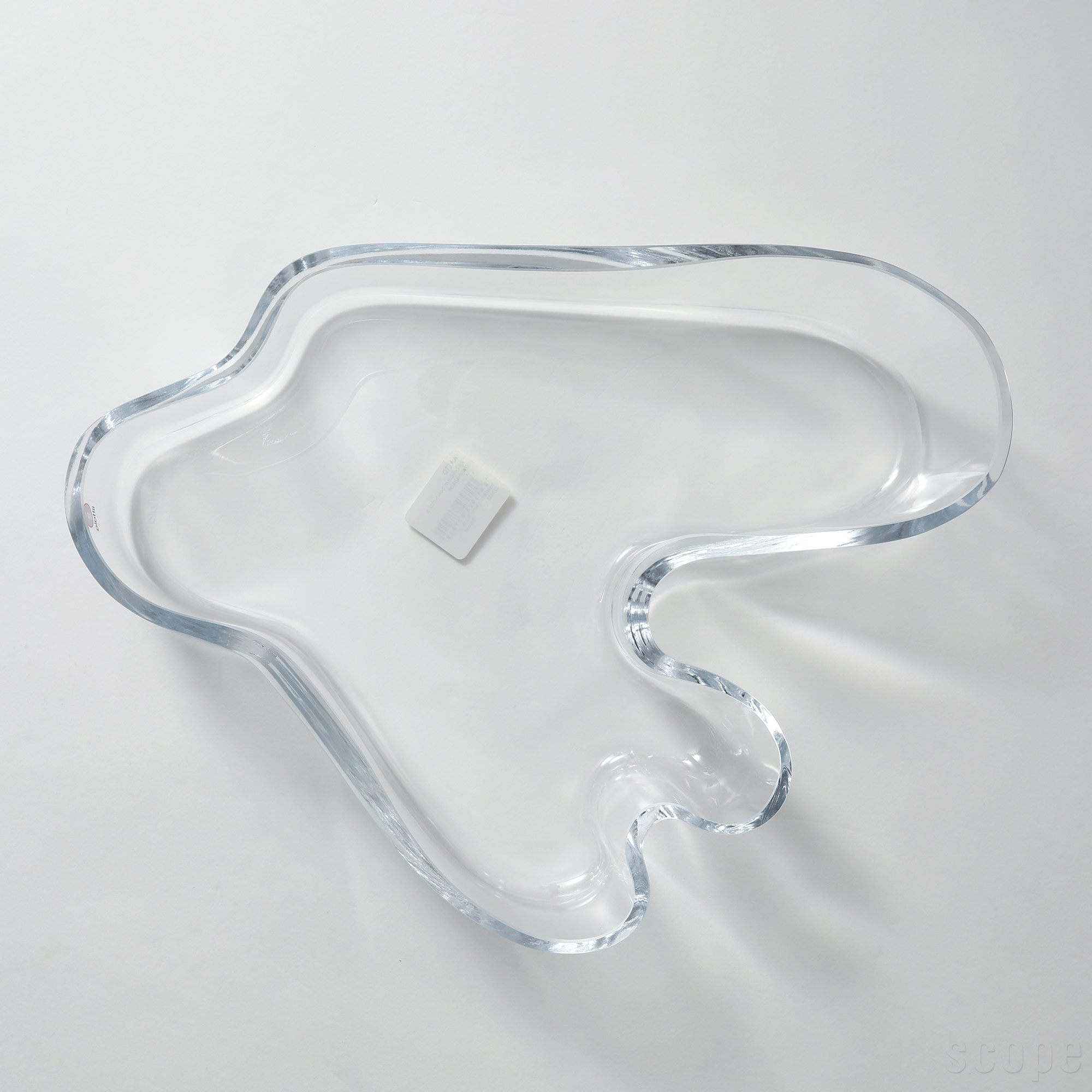 パラティッシレビューキャンペーン