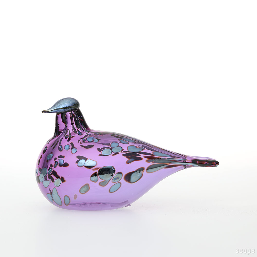 イッタラ オイバトイッカ / Dotterel バード iia64a11111_0448_l.jpg