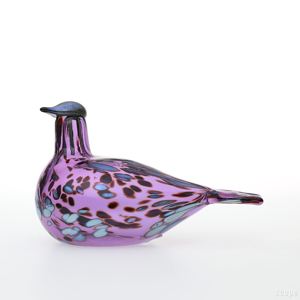 イッタラバード　リトルターン　アメジスト　scope オイバトイッカ 楽天市場】【No.485】イッタラ / バード バイ オイバ トイッカ