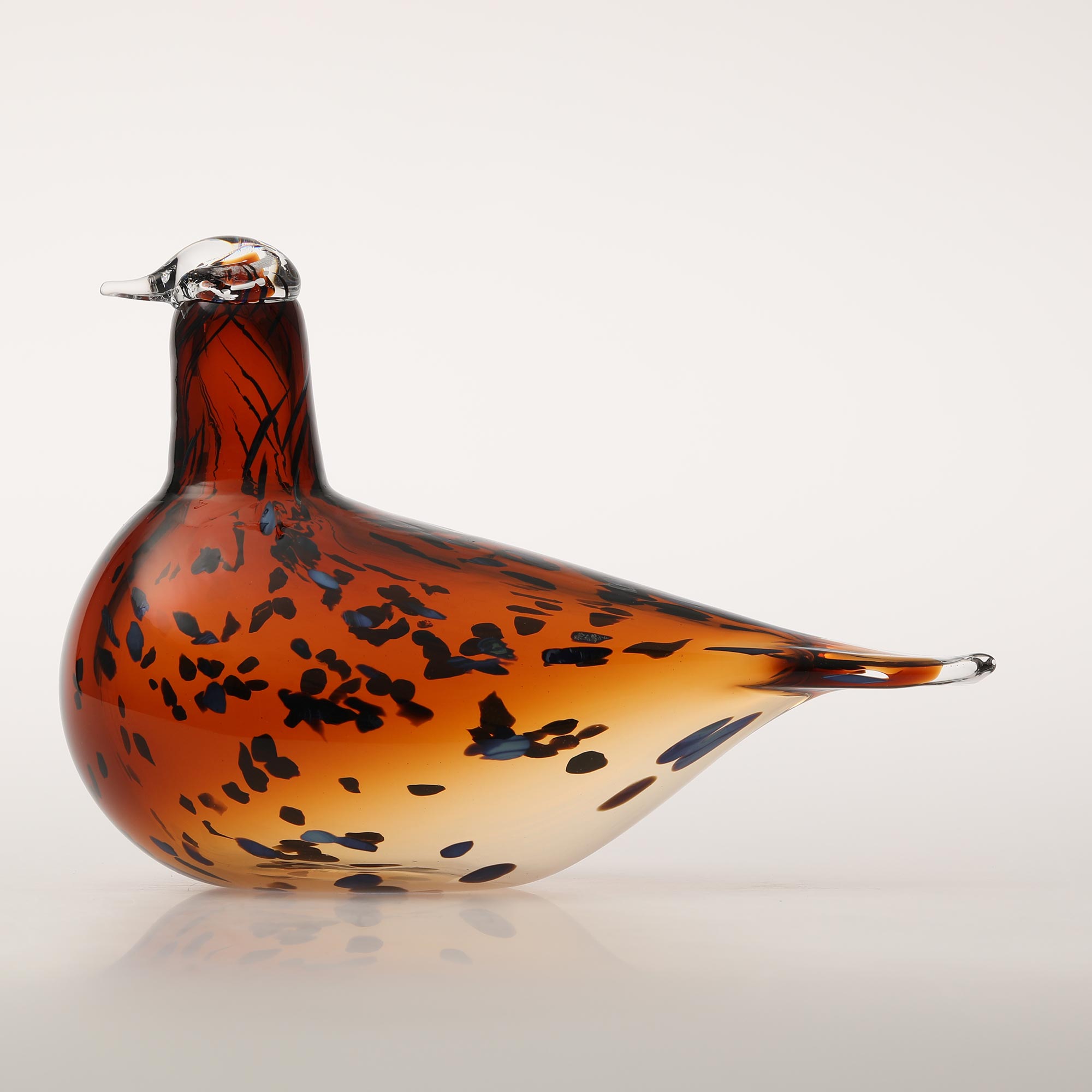 Black IBIS  イッタラ　バード　オイバトイッカ oiva Black IBIS iittala イッタラバードオイバトイッカ oiva