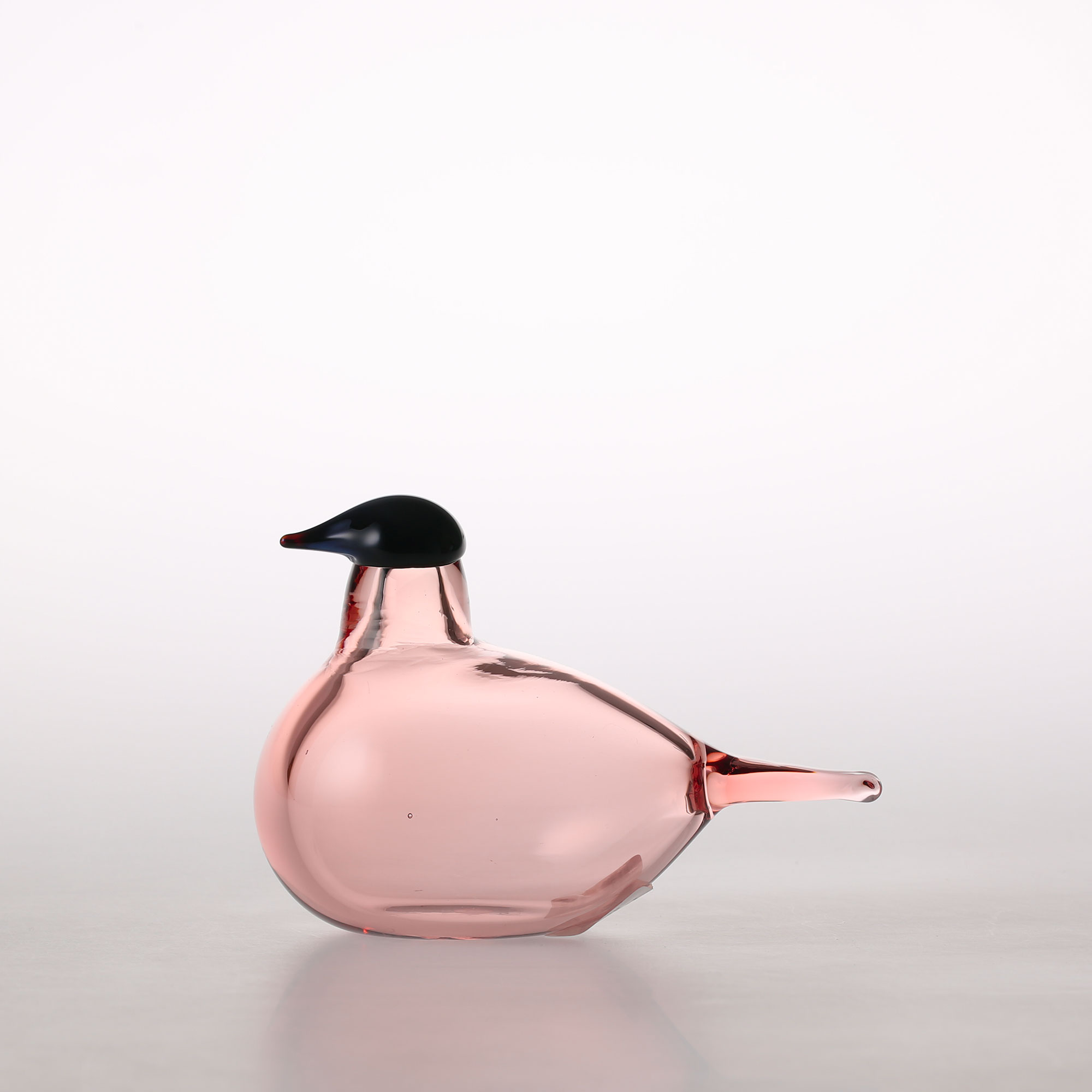 楽天市場】【0008】イッタラ / バード バイ オイバ トイッカ