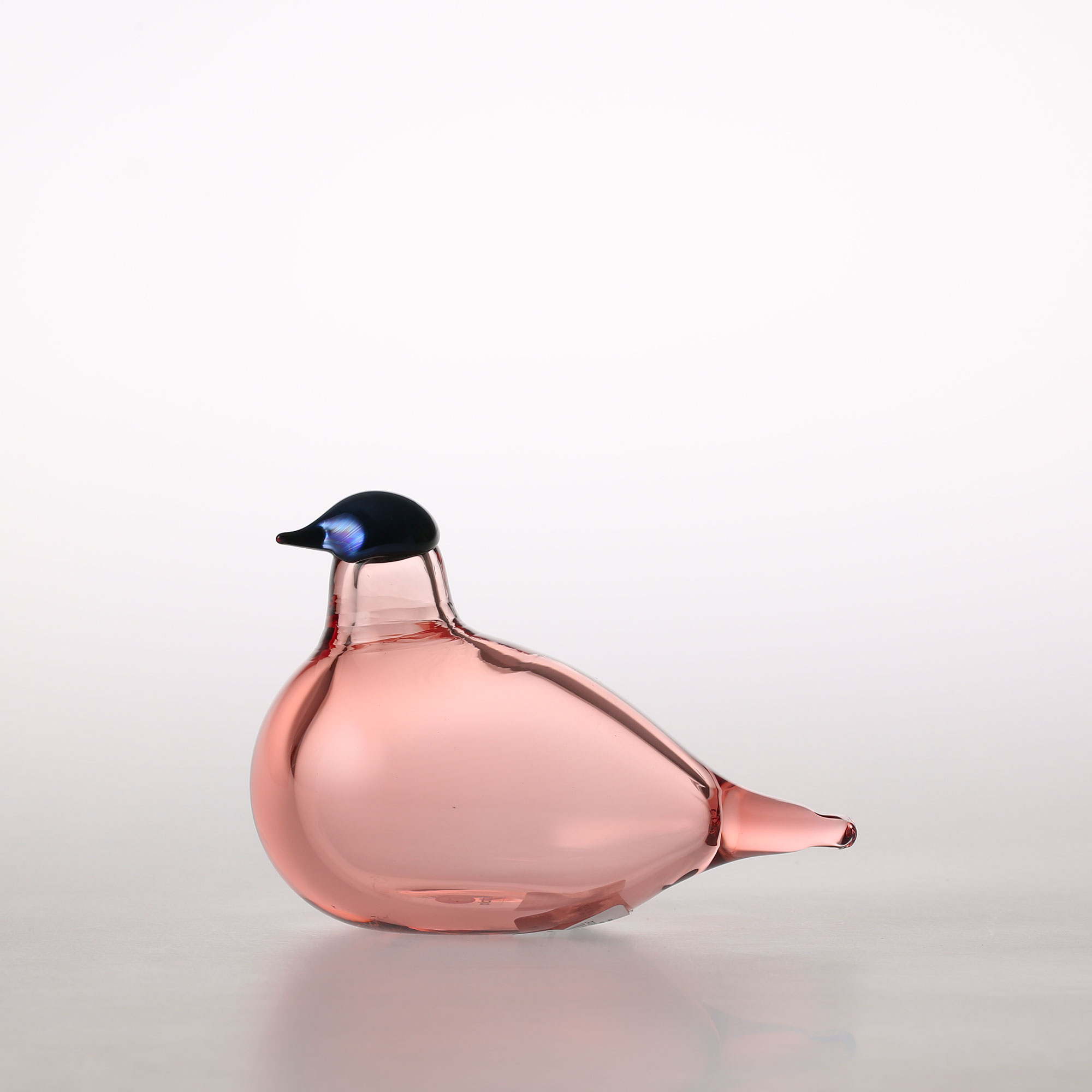 楽天市場】【0016】イッタラ / バード バイ オイバ トイッカ