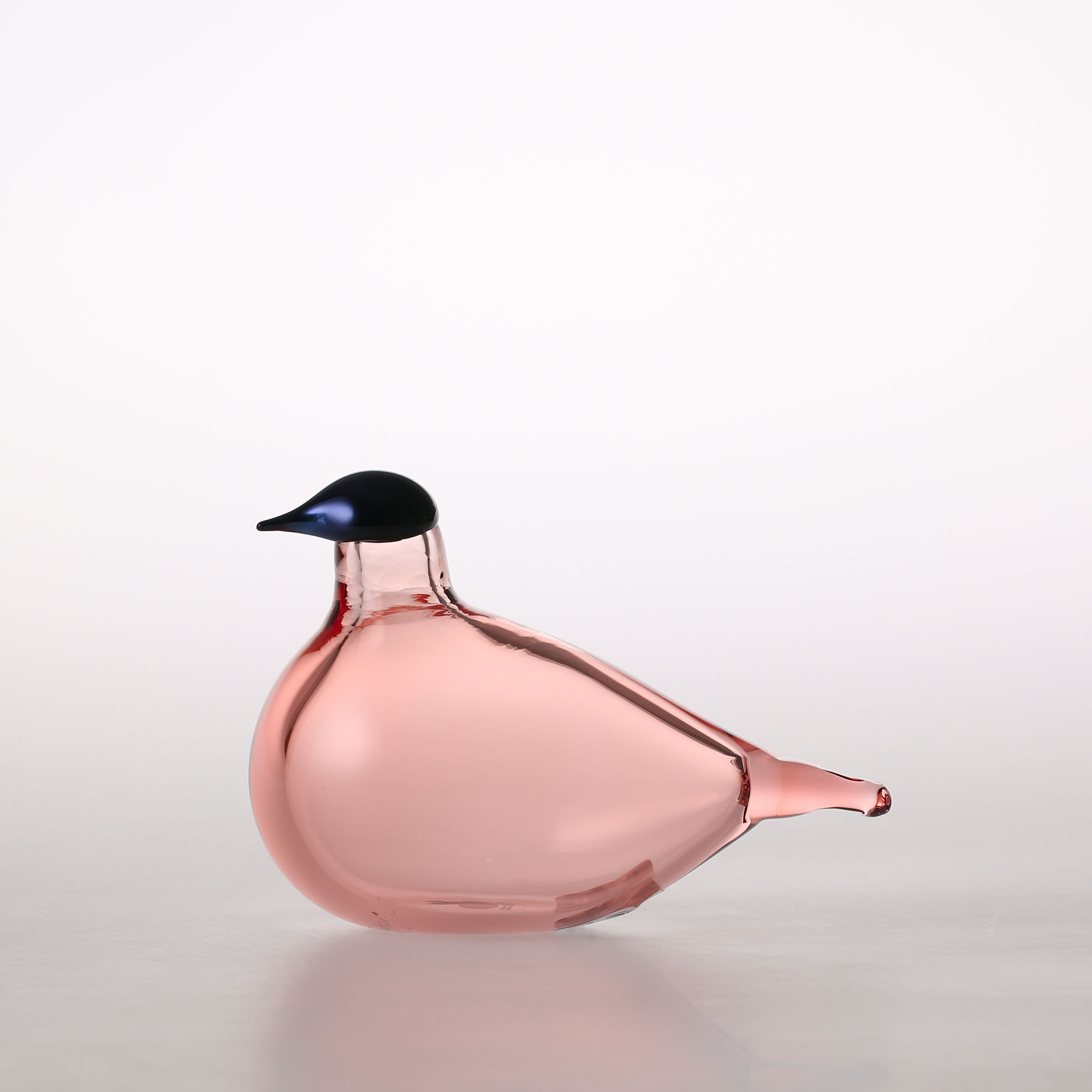 楽天市場】【0046】イッタラ / バード バイ オイバ トイッカ