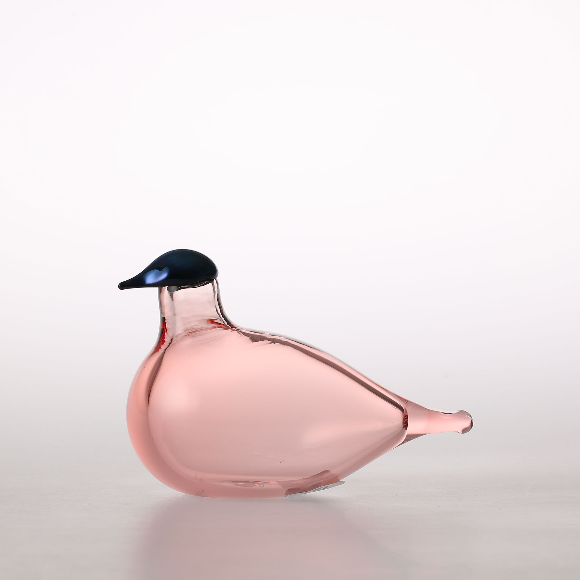 イッタラ　バード　シエッポ　表参道限定　ピンク　オイバトイッカ　scope バード バイ トイッカ シエッポ サーモンピンク・ブルーiittala