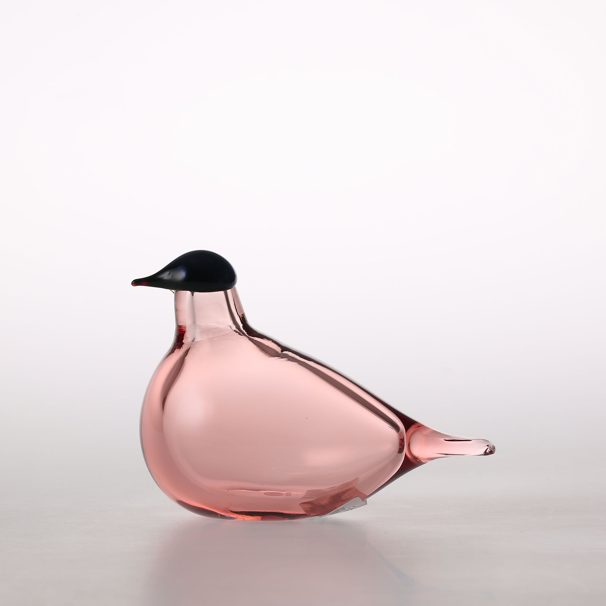 楽天市場】【0046】イッタラ / バード バイ オイバ トイッカ