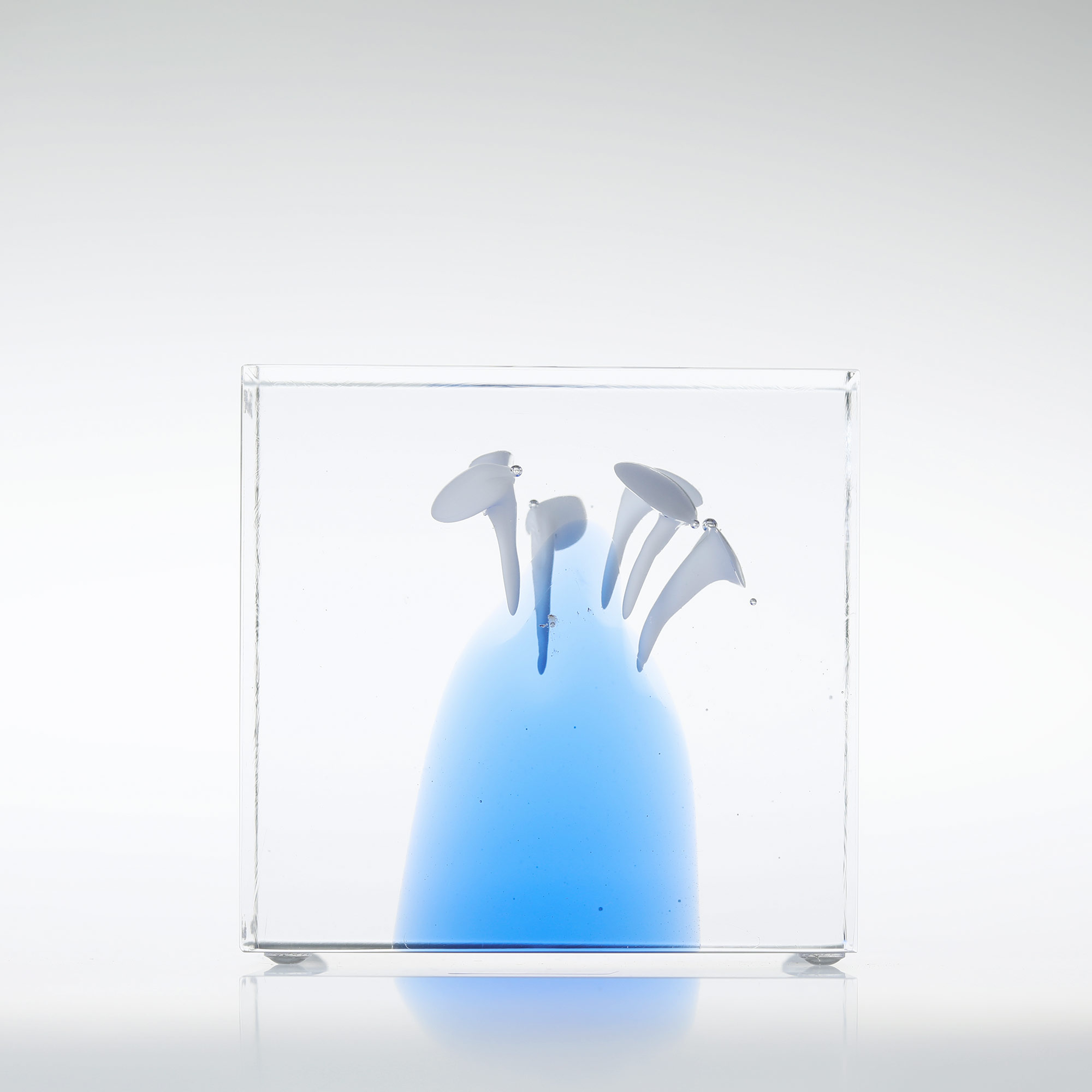 楽天市場】【No.295】イッタラ / アニュアルキューブ 2024