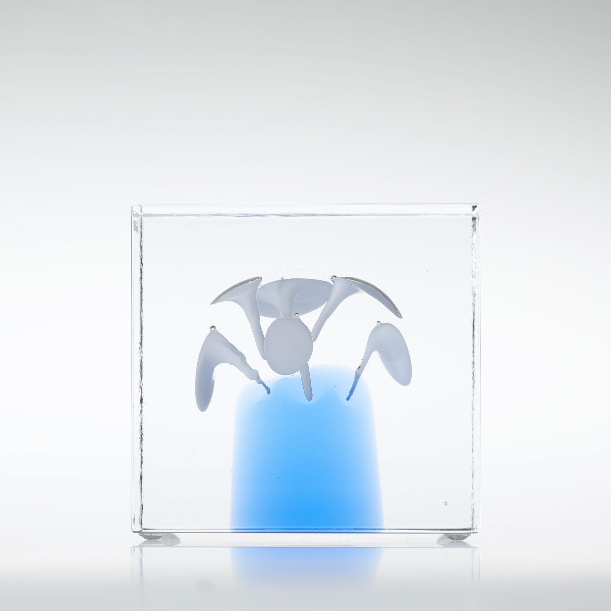 楽天市場】【No.295】イッタラ / アニュアルキューブ 2024 [iittala