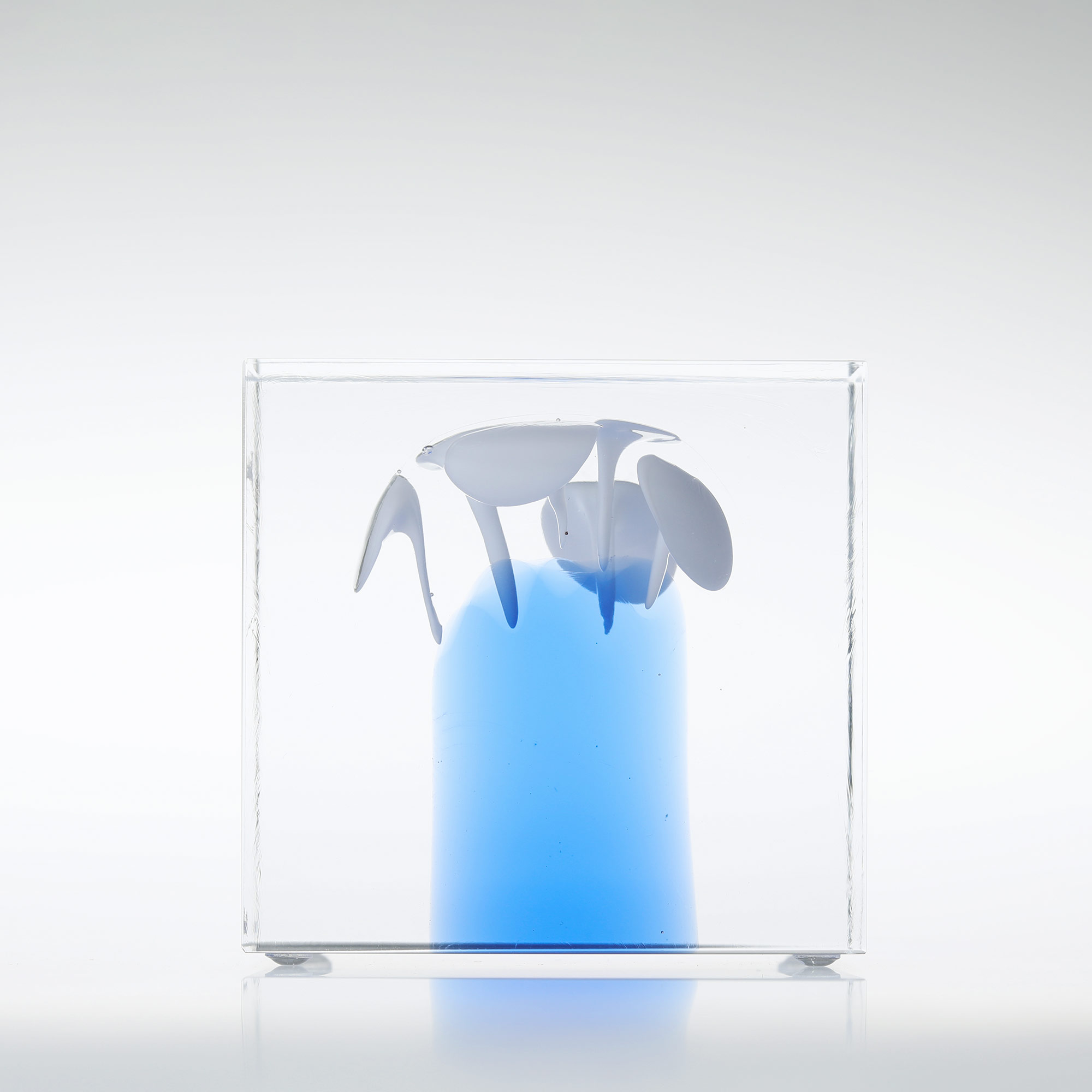 楽天市場】【No.295】イッタラ / アニュアルキューブ 2024 [iittala