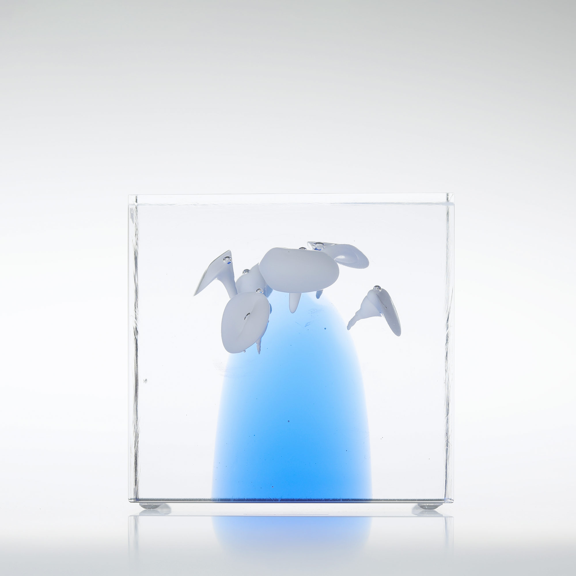 楽天市場】【No.273】イッタラ / アニュアルキューブ 2024 [iittala