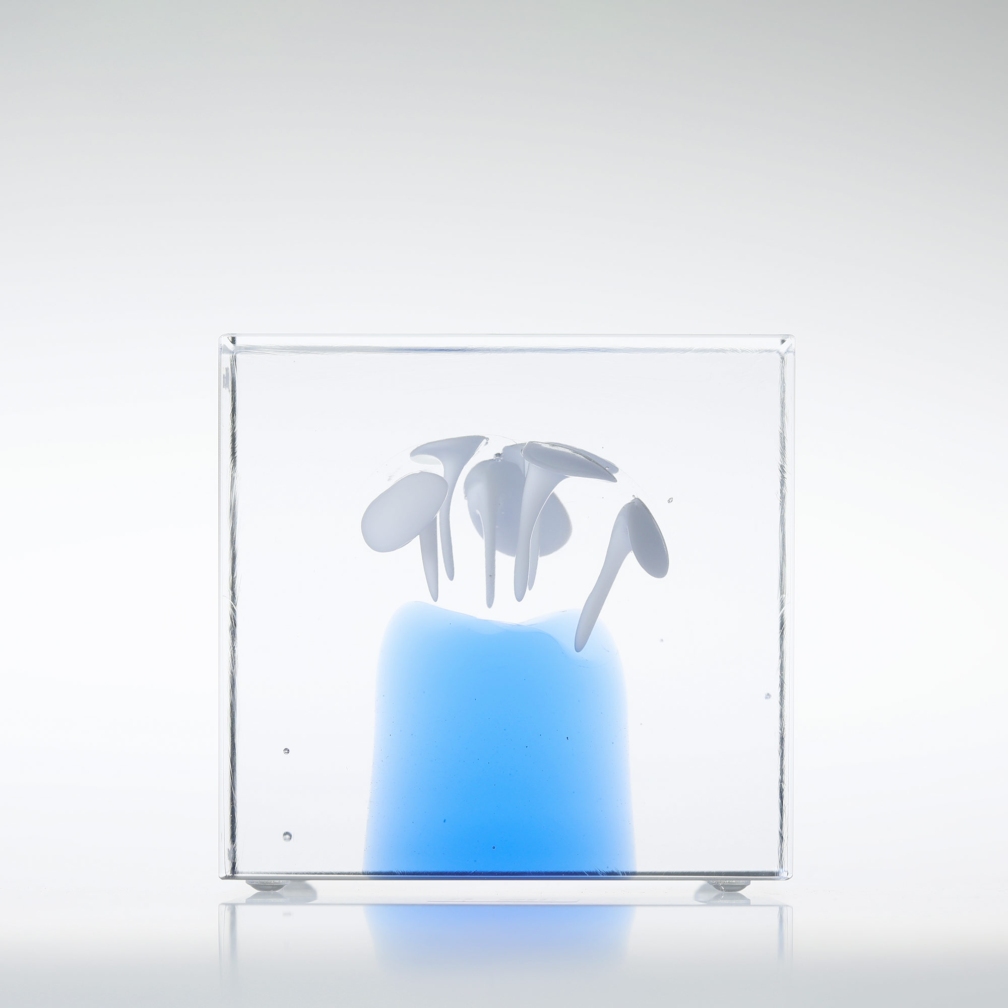 楽天市場】【No.19】イッタラ / アニュアルキューブ 2022 [iittala