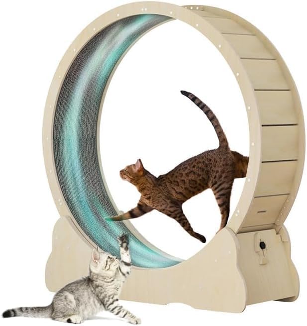 キャットホイール 猫 回し車 ランニングホイール 自走式キャットウォーク ロック装置内蔵 TPE静音低ノイズローラー ルームランナー 交換可能 運動不足解消 猫 用 爪とぎ 木製 組み立て式  (M)