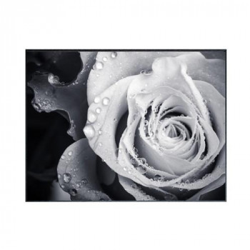 Photography Rose アートパネル IAA-53191　日常にアートを纏う 26,048円