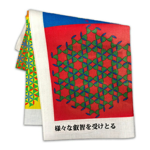 カタカムナ Tシャツ アマテラス 丸山修寛先生 Mサイズ 【新品未使用】 カタカムナ Tシャツ アマテラス 丸山修寛先生 Mサイズ 【新品未