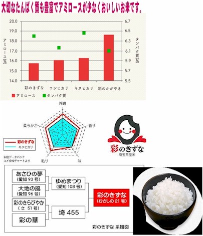 新米・令和5年産新潟みずほの輝き☆色彩選別済白米5㌔×4個☆幻の農家