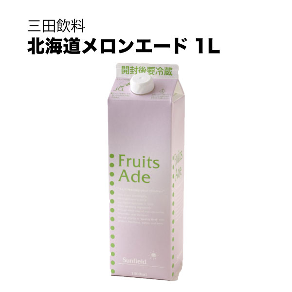 三田飲料 シロップ 割り材 北海道メロンエード 紙パック 1L 1000ml &times; 12本[ケース販売] 送料無料(本州のみ) [三田飲料 シロップ 割り材]ギフト プレゼント 贈り物 お祝い 内祝い お返し 誕生日プレゼント 父の日 敬老の日｜リカータイム2号店　店