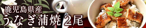 楽天市場】【ポイント10倍！ 10/26~28まで】オリーブオイル バルサミコ酢 30袋セット 小分けパック 使い切り 食用油 オリーブ油 バルサミコ  ワインビネガー ドレッシング プチギフト メール便 のし対応 送料無料 鮮度 調味料 サラダ カルパッチョ : 匠のかに シーフード本舗