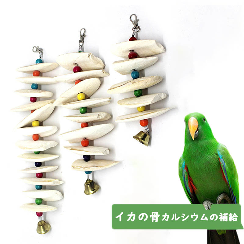 楽天市場】カトルボーン インコ おもちゃ イカの骨 鈴 オウム 噛む