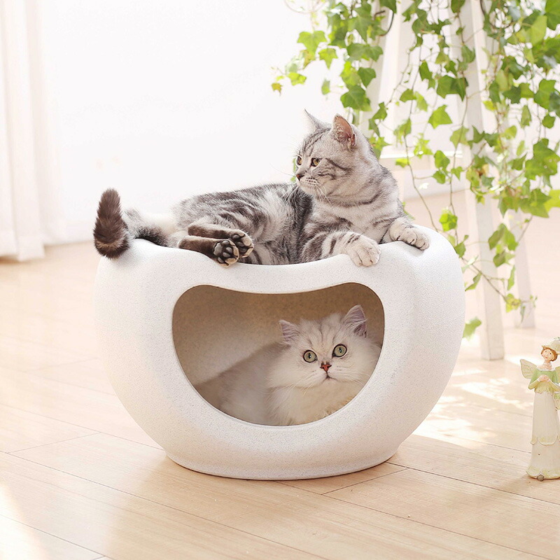 楽天市場】＼＼送料無料／／猫 ハウス ペットハウス キャット