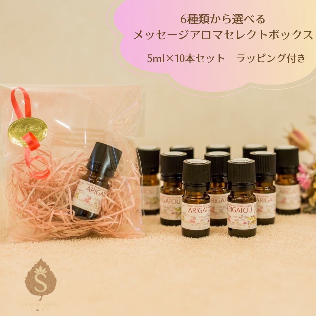 メッセージアロマセレクトボックス 5ml×10個★ラッピング付き添い人★ 6類概念の芳ばしさから選べる 申したて付き添い人臭い エッセンシャルオイル 揮発油 差し上げ物 差し上げ物 生まれ落ちる日 辞任 譲渡 畏まりの品 しっぺい返し 癒し 芳ばしさ 交ぜあわせる油絵の具 生まれながら臭い プチギフト ばらまき差し上げ物
