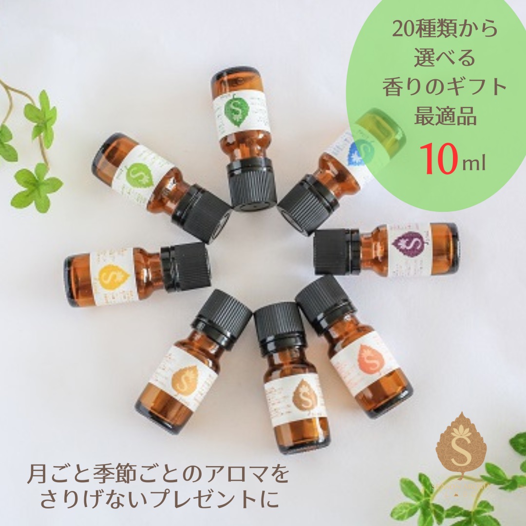 ゴールデンウィークキャンペーンラベンダー