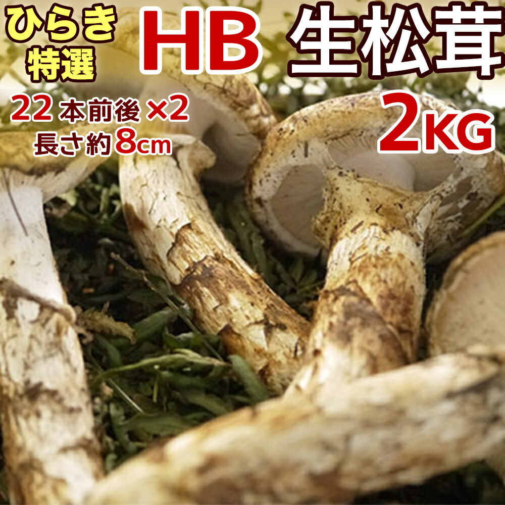 最安値挑戦！】 数量限定‼️お買い得品 おまかせ松茸 野菜