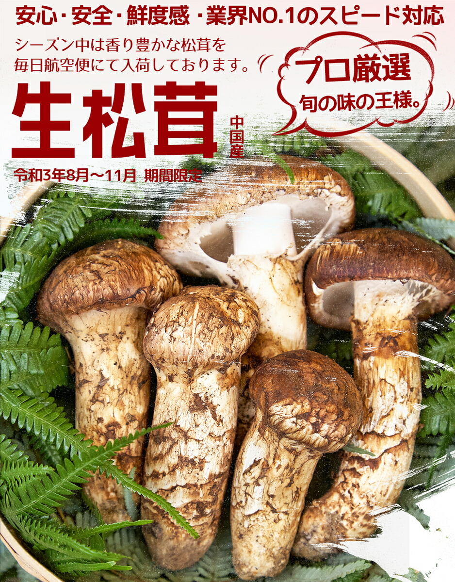 市場 予約7月下旬 ちょっと訳あり 約500g 空輸 当店厳選フレッシュ松茸 ...