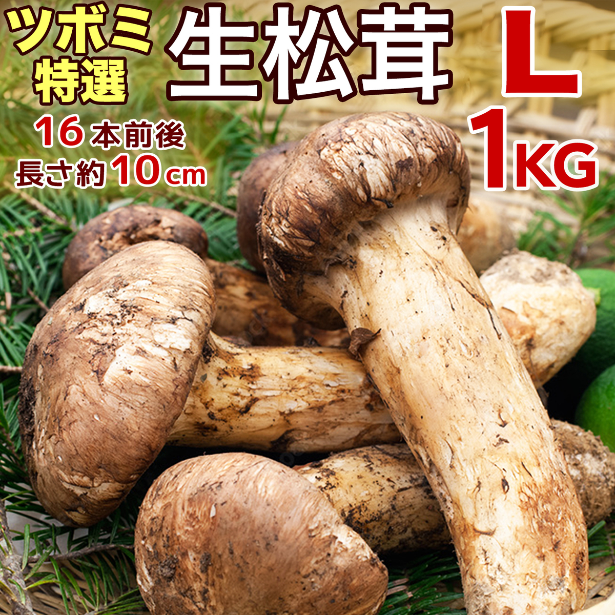 岩手県産松茸［秀品Ａ］１kg-