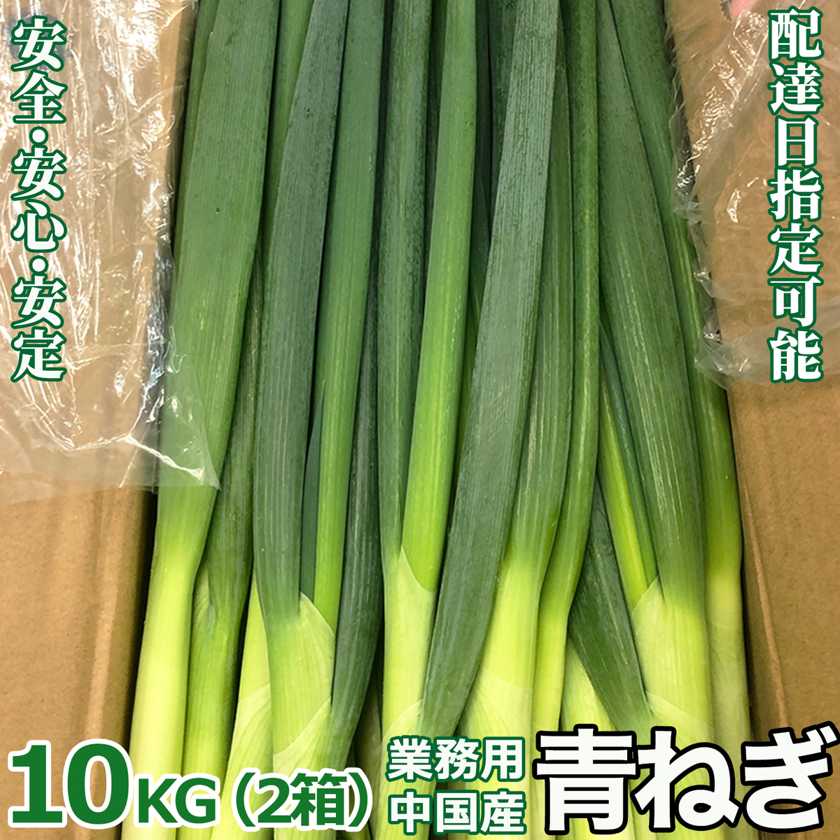 市場 3日以内発送 約10kg 新鮮青葱 白ネギ 青ねぎ 厳選 5キロ×2箱 コスパ最強ネギ 箱売り Mサイズ 業務用 代引可 輸入食材 中国産