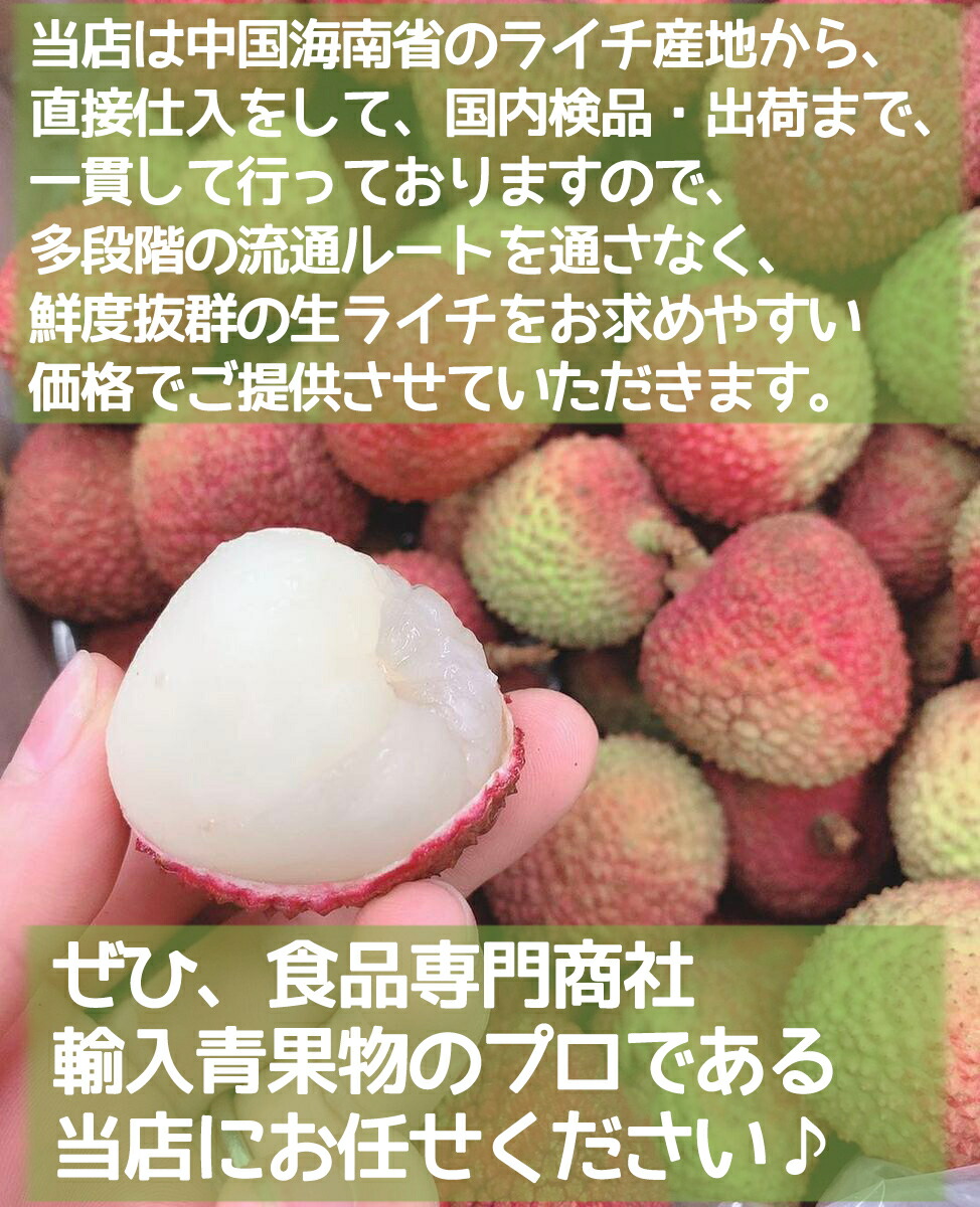 6月11日入荷分 生グリーンライチ 約4kg 箱 妃子笑 ひししょう 中国産 当店厳選 新鮮フレッシュライチ レイシ 茘枝 生ライチ 香りが強いみずみずしい フルーツ 果物 お中元 贈答用 ギフト Litchi ご家庭用 プレゼント 夏期間限定 手作業検品 送料無料 Solga Sowa Pl