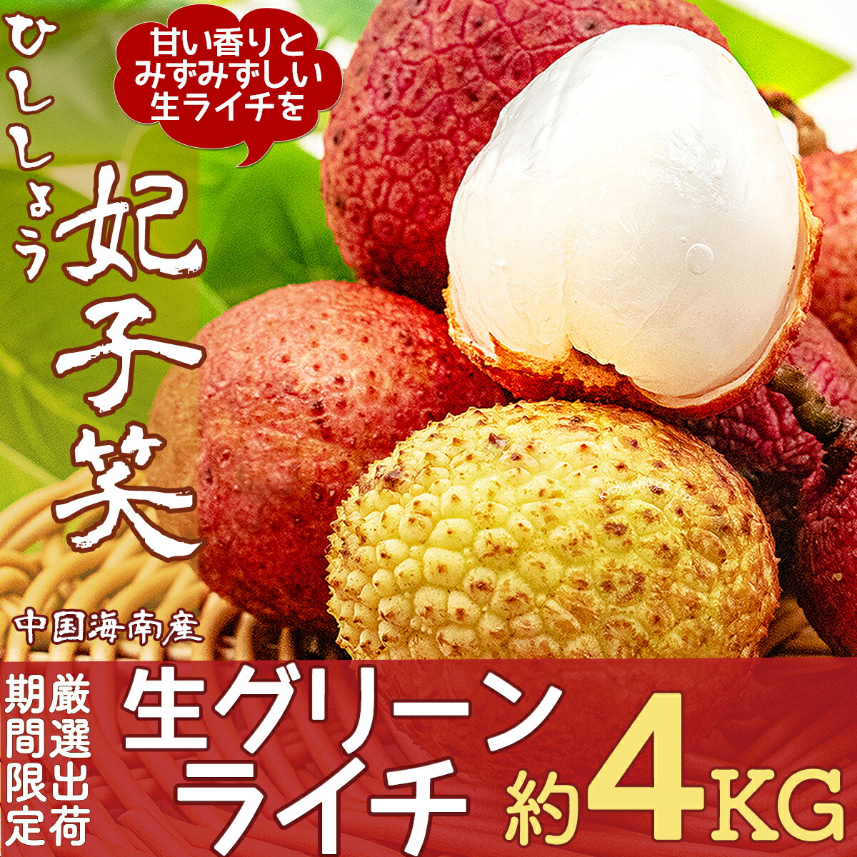 6月11日入荷分 生グリーンライチ 約4kg 箱 妃子笑 ひししょう 中国産 当店厳選 新鮮フレッシュライチ レイシ 茘枝 生ライチ 香りが強いみずみずしい フルーツ 果物 お中元 贈答用 ギフト Litchi ご家庭用 プレゼント 夏期間限定 手作業検品 送料無料 Solga Sowa Pl