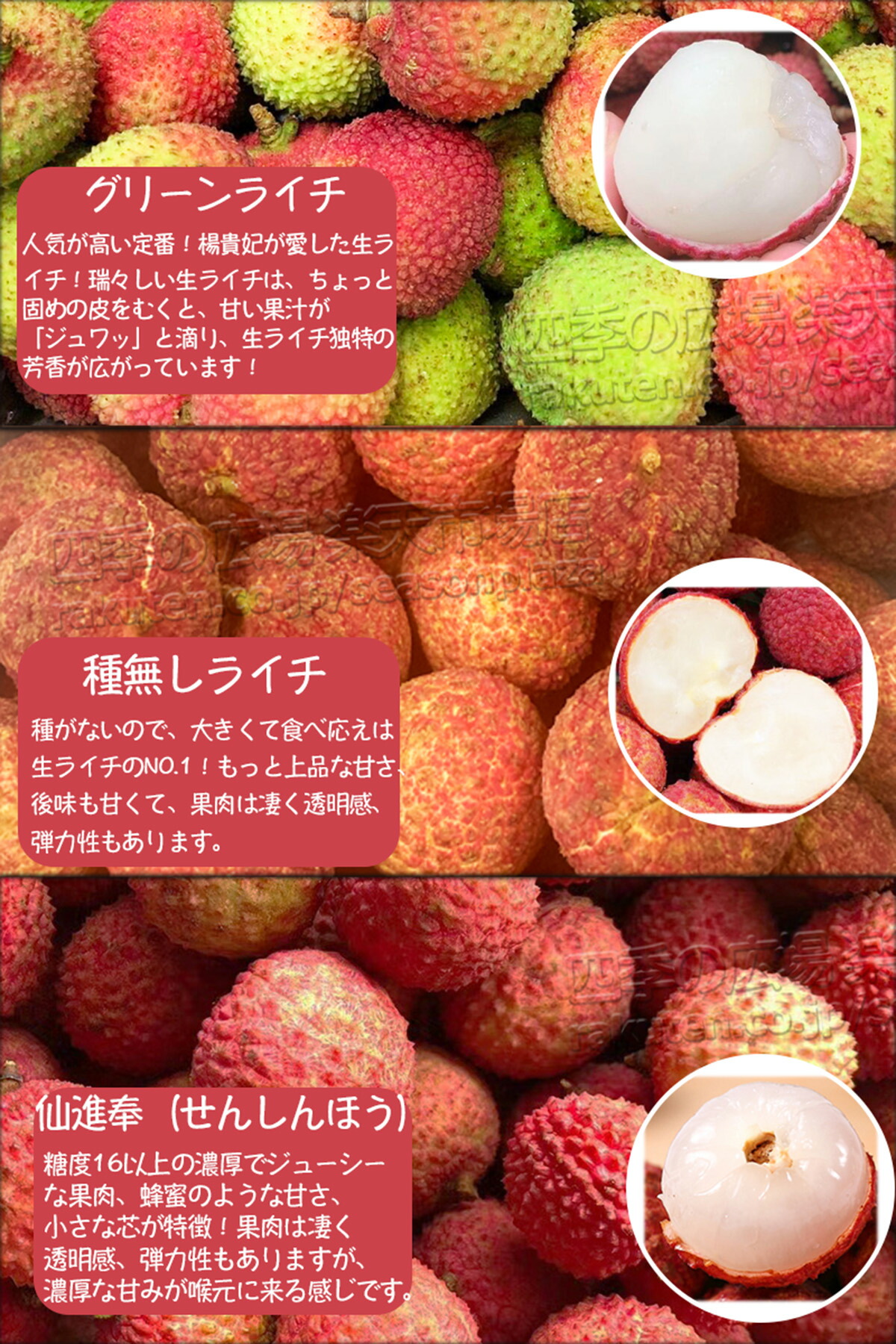 種無し 生ライチ｜食べ応え満点の希少な高級品種・中国産｜可食部