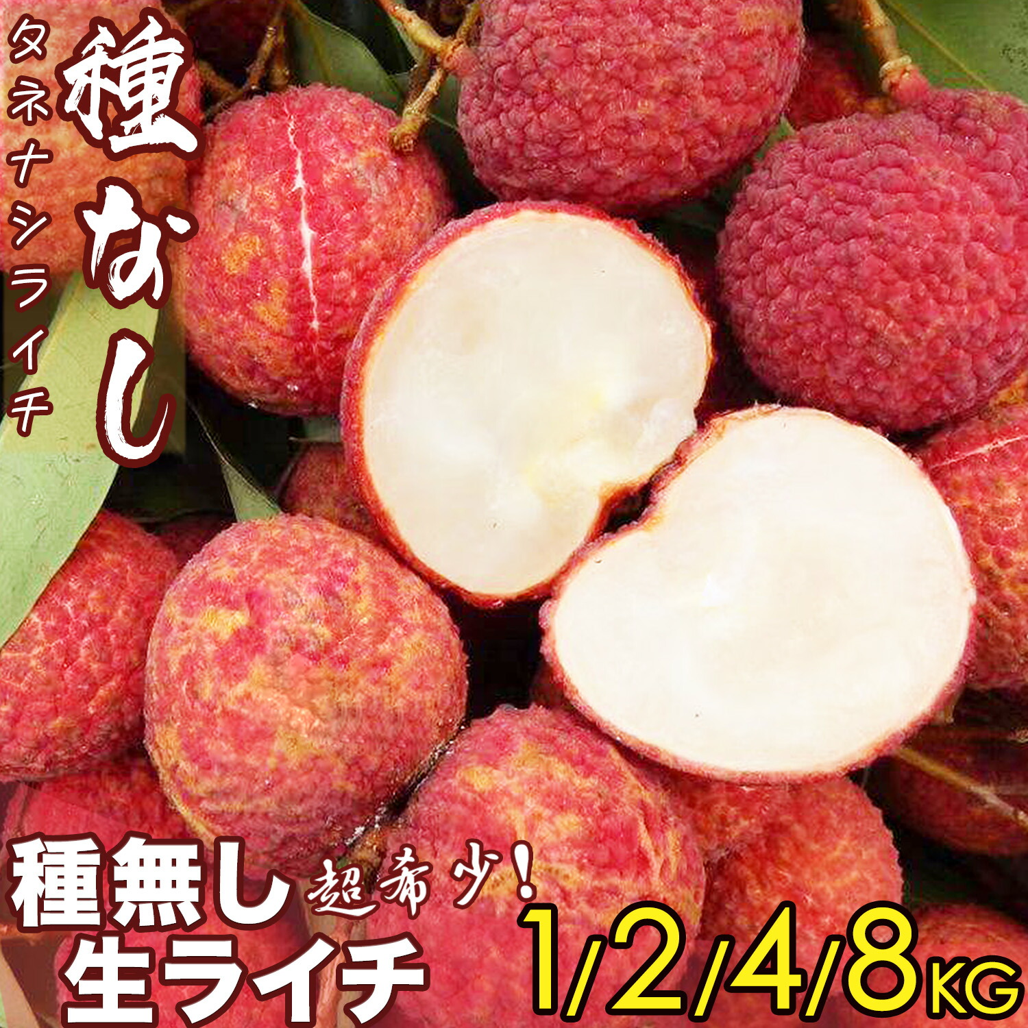 ＜予約7月上旬＞種無し生ライチ｜希少な高級品種 中国産｜種がないので食べ応え満点な逸品・清涼感たっぷりの甘さ｜たねなしフレッシュライチ｜レイシ 無核茘枝 Seedless Lychee｜四季の広場厳選 トロピカルフルー｜家庭用 贈答用 お中元 夏ギフト｜夏期間限定・国内検品発送